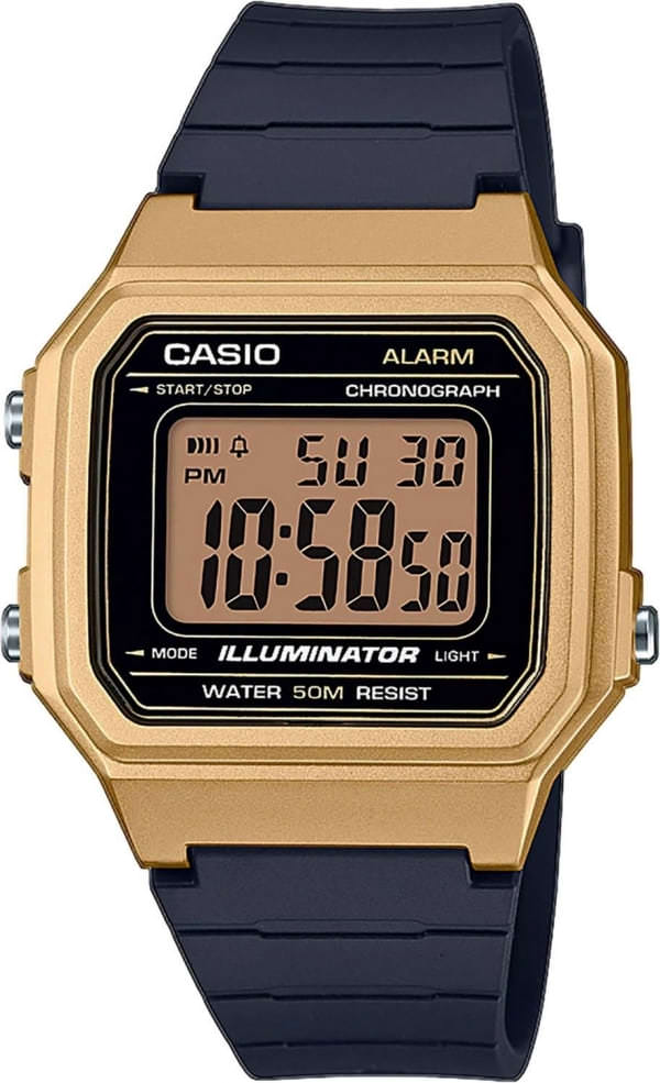 Наручные часы Casio W-217HM-9AVEF фото 1