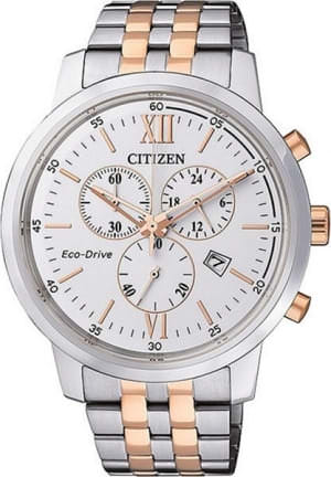 Наручные часы Citizen AT2305-81A