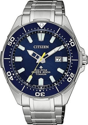 Наручные часы Citizen BN0201-88L