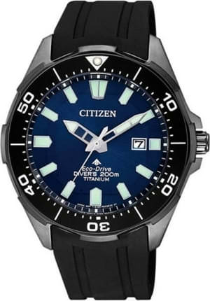 Наручные часы Citizen BN0205-10L