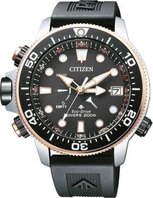 Наручные часы Citizen BN2037-11E