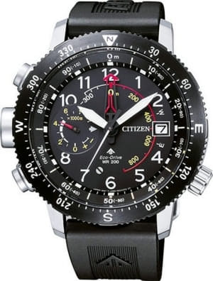 Наручные часы Citizen BN4044-15E
