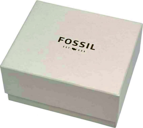 Наручные часы Fossil BQ2465SET фото 5