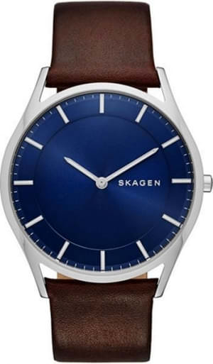 Наручные часы Skagen SKW6237