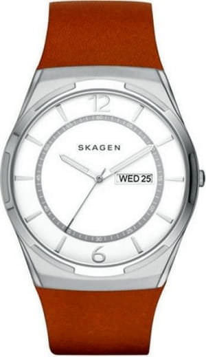 Наручные часы Skagen SKW6304