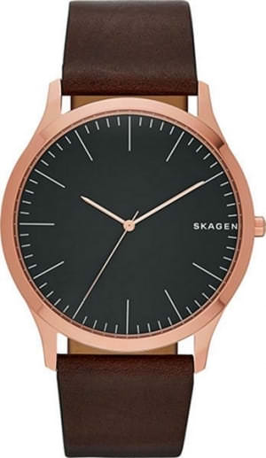 Наручные часы Skagen SKW6330