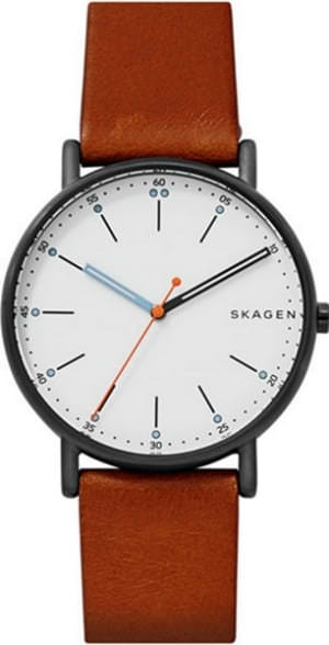 Наручные часы Skagen SKW6374