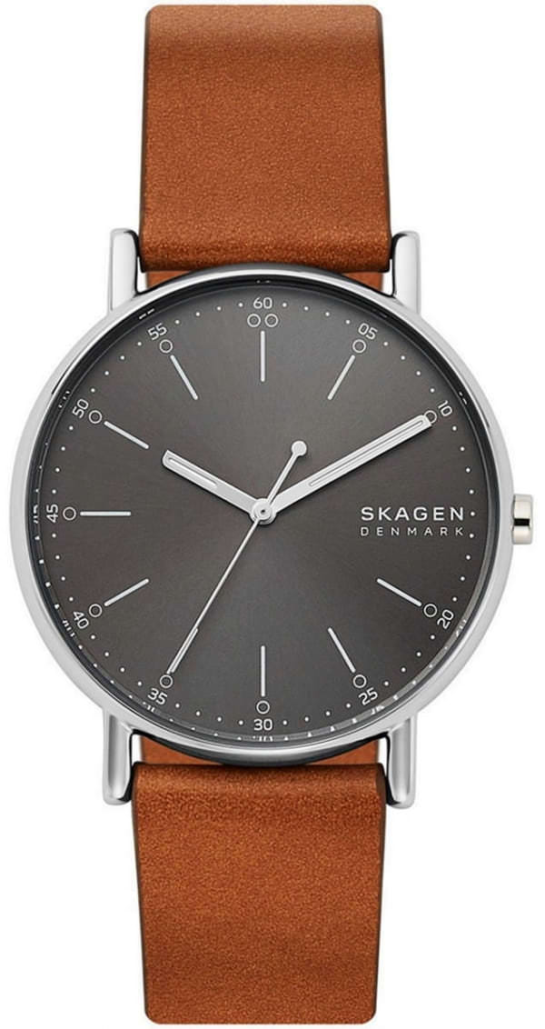 Наручные часы Skagen SKW6578 фото 1
