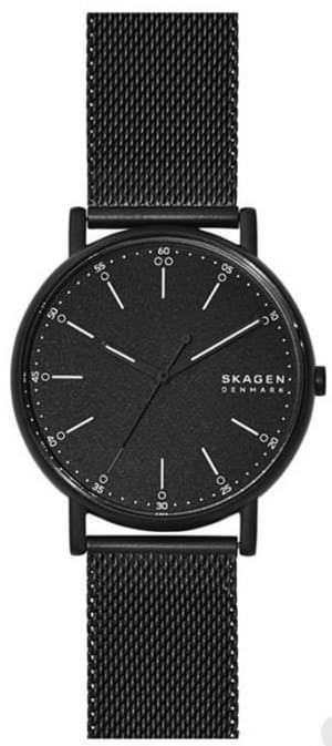 Наручные часы Skagen SKW6579