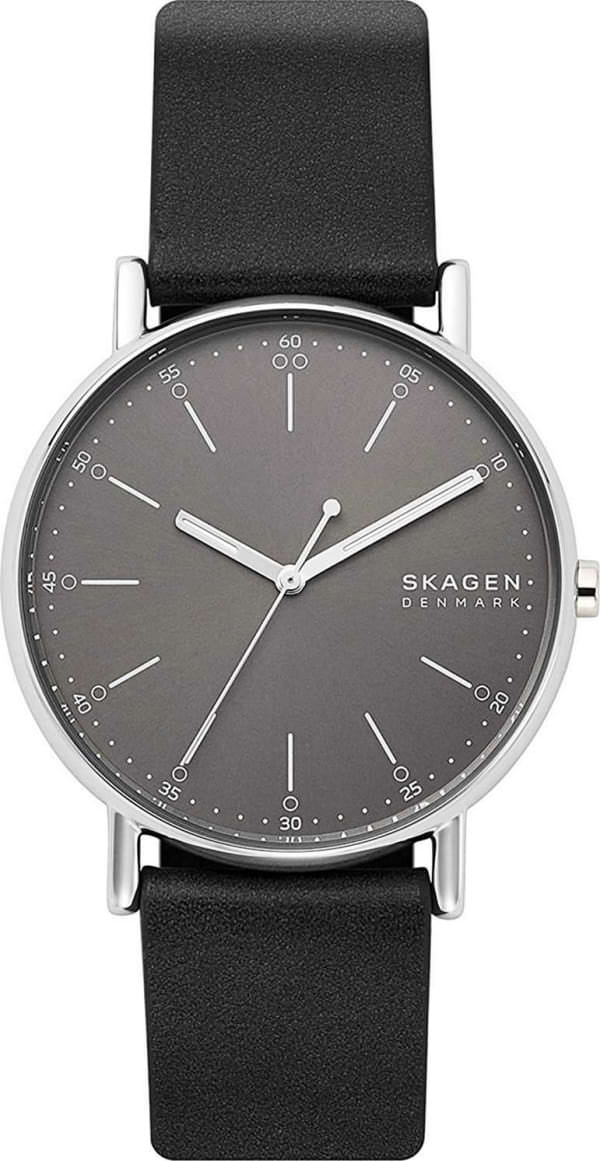 Наручные часы Skagen SKW6654 фото 1