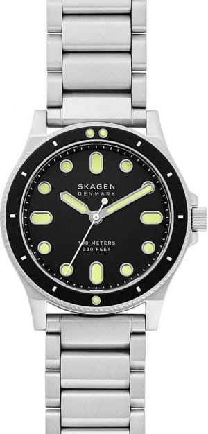 Наручные часы Skagen SKW6666