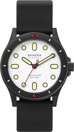Наручные часы Skagen SKW6667