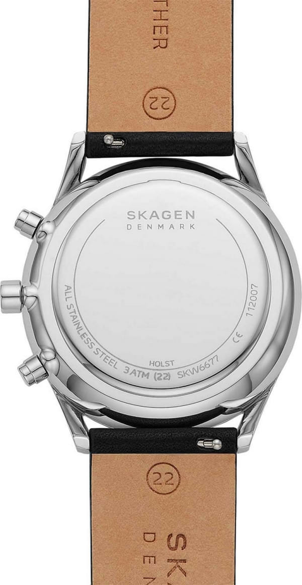 Наручные часы Skagen SKW6677 фото 4