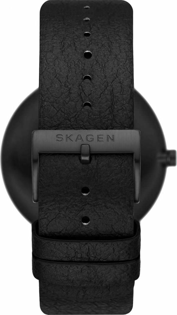 Наручные часы Skagen SKW6727 фото 4