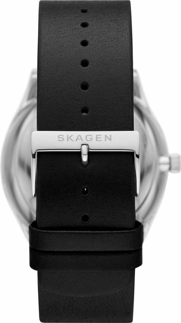 Наручные часы Skagen SKW6735 фото 4