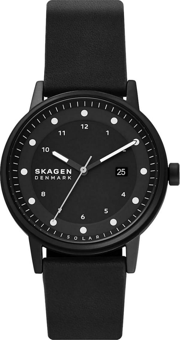 Наручные часы Skagen SKW6740 фото 1