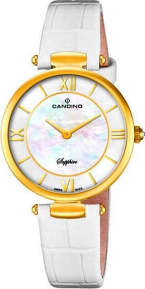 Наручные часы Candino C4670_1