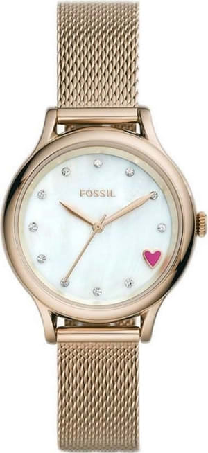 Наручные часы Fossil BQ3594