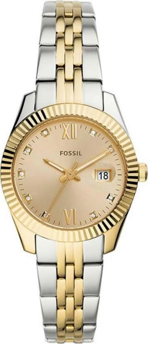 Наручные часы Fossil ES4949