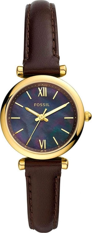 Наручные часы Fossil ES4968
