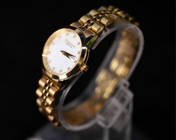 Наручные часы Rodania R10008 фото 2