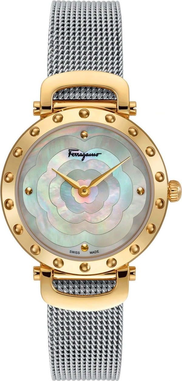 Наручные часы Salvatore Ferragamo SFDM00618 фото 1