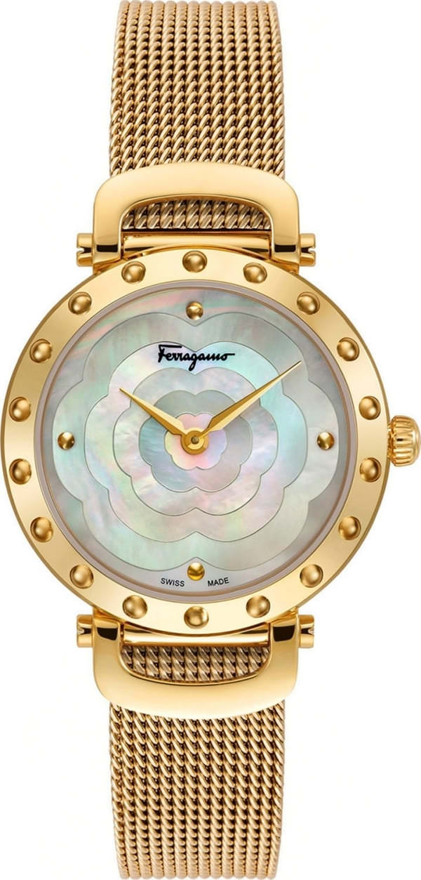 Наручные часы Salvatore Ferragamo SFDM00718 фото 1