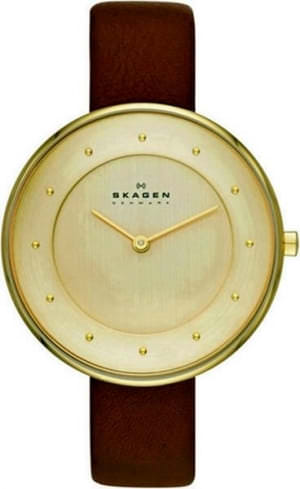 Наручные часы Skagen SKW2138