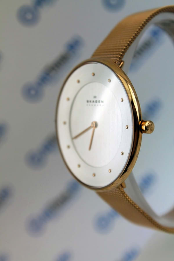 Наручные часы Skagen SKW2142 фото 3