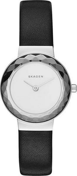 Наручные часы Skagen SKW2428