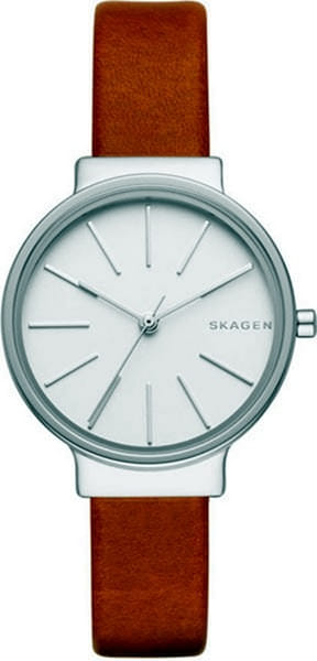 Наручные часы Skagen SKW2479