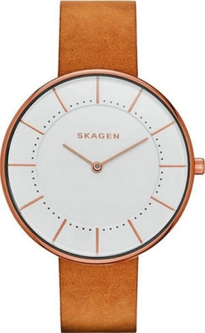 Наручные часы Skagen SKW2558