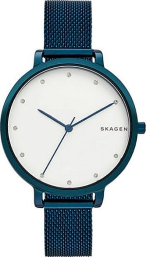 Наручные часы Skagen SKW2579