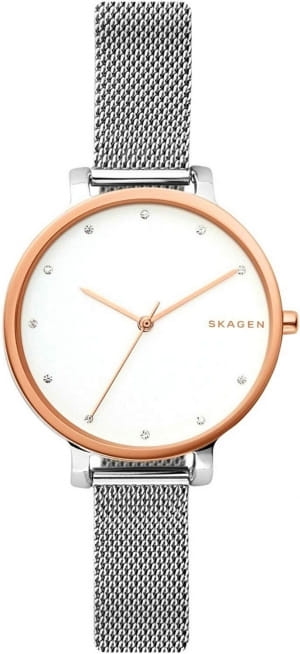 Наручные часы Skagen SKW2662