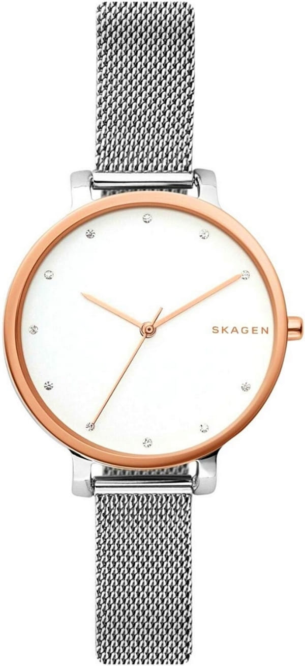 Наручные часы Skagen SKW2662 фото 1