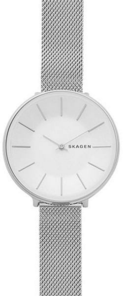 Наручные часы Skagen SKW2687