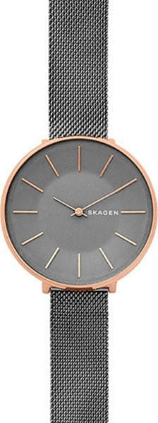 Наручные часы Skagen SKW2689