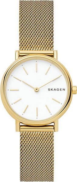 Наручные часы Skagen SKW2693