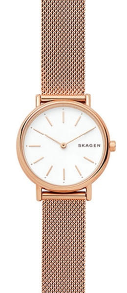 Наручные часы Skagen SKW2694