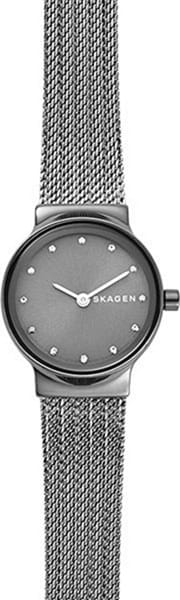 Наручные часы Skagen SKW2700