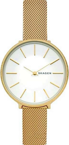 Наручные часы Skagen SKW2722