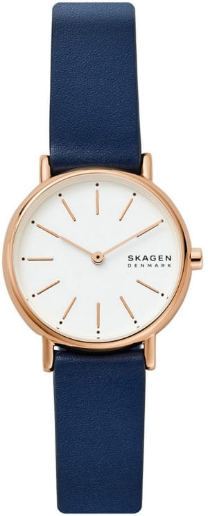 Наручные часы Skagen SKW2838