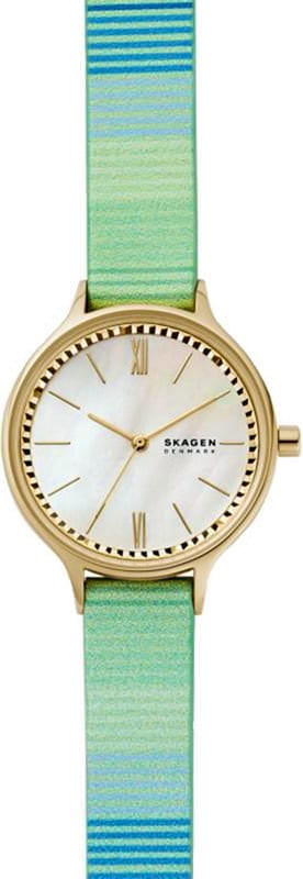 Наручные часы Skagen SKW2905