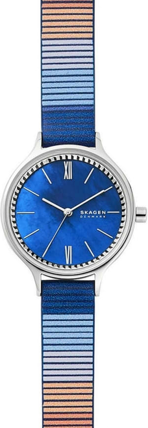 Наручные часы Skagen SKW2906