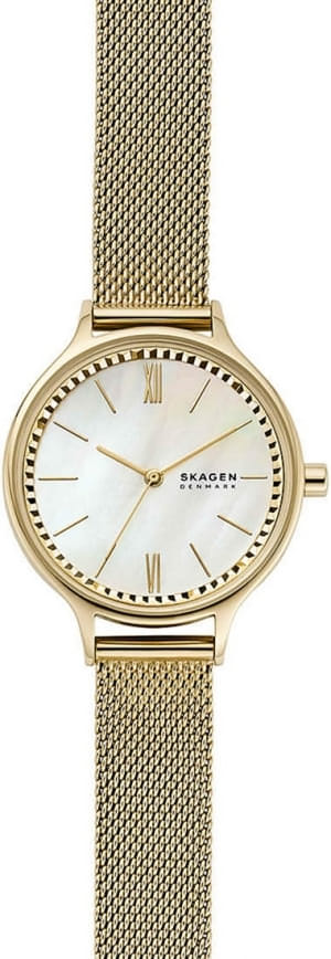Наручные часы Skagen SKW2907