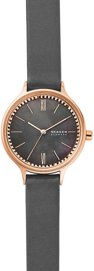 Наручные часы Skagen SKW2909