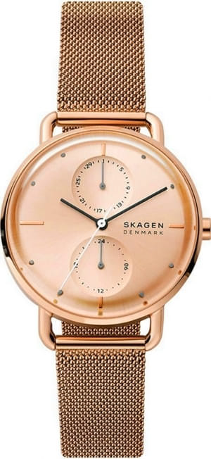 Наручные часы Skagen SKW2931