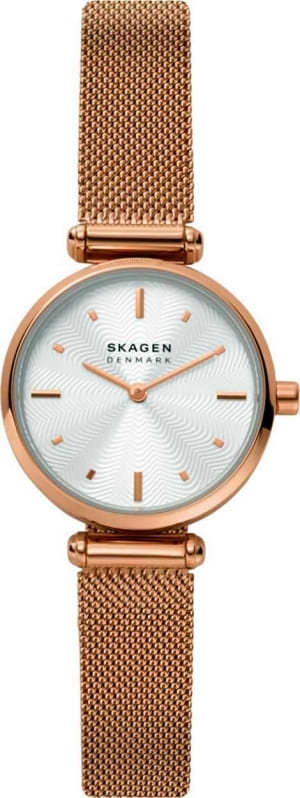 Наручные часы Skagen SKW2955