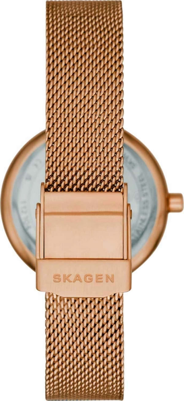 Наручные часы Skagen SKW2955 фото 5
