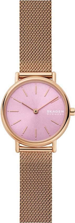 Наручные часы Skagen SKW2975